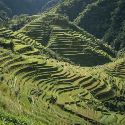  Banaue Rice Terraces: Contemplate Ancient Engineering and Breathtaking Mountain Vistas!