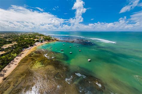  Praia do Forte! Một Thiên Đường Biển Xanh Ngời Sáng và Nét Vẻ Lịch Sử